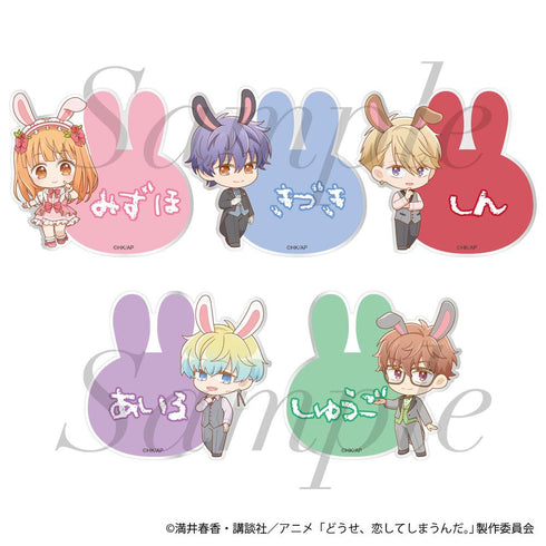 『どうせ、恋してしまうんだ。』トレーディングおなまえバッジ 全5種【BOX】